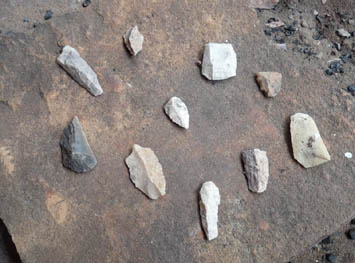 Discarded stone tools