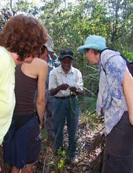 Violet Lawson explaining the traditional way to use pandanus to make baskets.