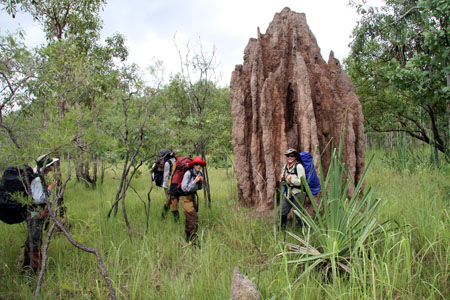 Termite mound, photo R Ridgwell