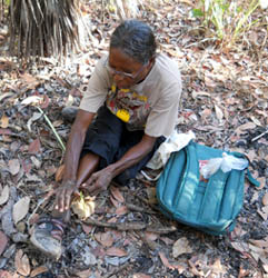 Violet Lawson explaining the traditional way to use pandanus to make baskets.