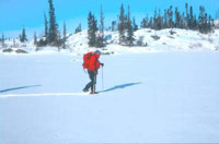 Snowshoeing near Yellowknife