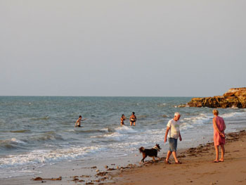 Swimming and walking dogs at Casuarina beach