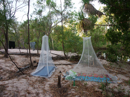 Hanging mosquito nets, Graveside, Kakadu, end October