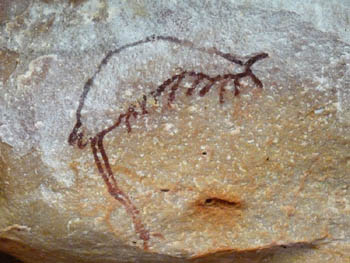 Aboriginal art. Is it a prawn?