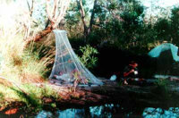 Typical Kakadu Campsite