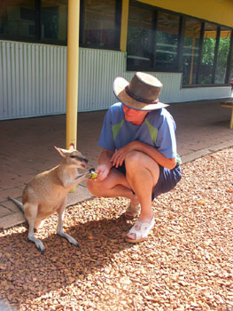 Agile wallaby and friend, Territory Wildlife Park