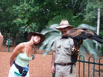 Wedge tailed eagle and friend, Territory Wildlife Park