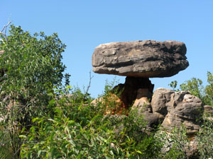 Mushroom rock near the lower Drysdale. Photo: C Wesely