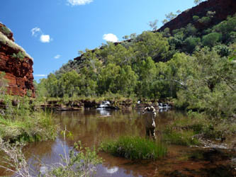 Dales Gorge cascades. We usually camp near here.
