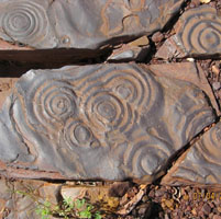 When we first found these formations, we thought they might have been some sort of fossil. But no, the rock is much too old. The rings result from diagenetic (ie sediment compaction) dehydration and shrinkage of a hydrous silica gel-rich bed. The silica-rich bits of the banded iron formation (BIF) are the lighter coloured layers, with the iron-rich being the darker layers when you look at a bit of BIF. Essentially it is an early soft-sediment compaction effect —: remarkable how nature can be so perfect isn't it ?!