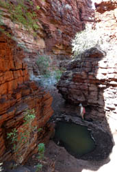 In one of the small gorges we visit on a daywalk from our Wittenoom campsite.