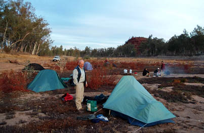 Campsite near the Boggy Hole track