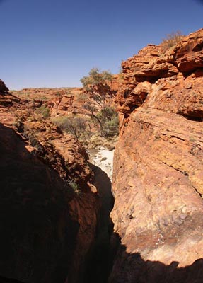 Back Canyon, August 2008