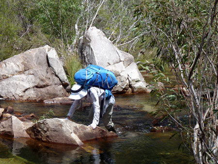 Wading across Kurrundie Creek, Kakadu, January