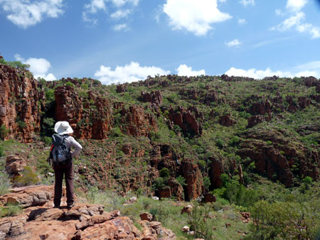 Enjoying the view on a day walk on the Ord River canoe trip, Green Kimberley Light. Note the blue sky.
