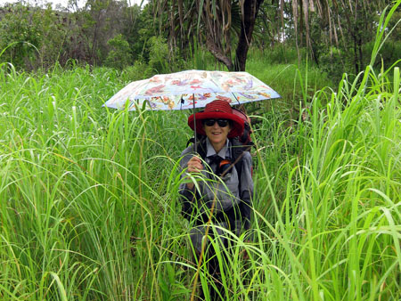 Walking with an umbrella, Kakadu, January