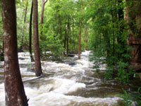 Baroalba Creek in flood